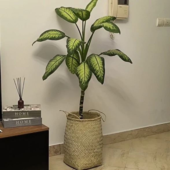 سبد حصیری استوانه ای