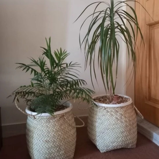 سبد حصیری استوانه ای