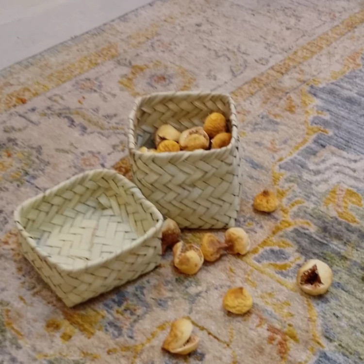 جعبه در دار حصیری